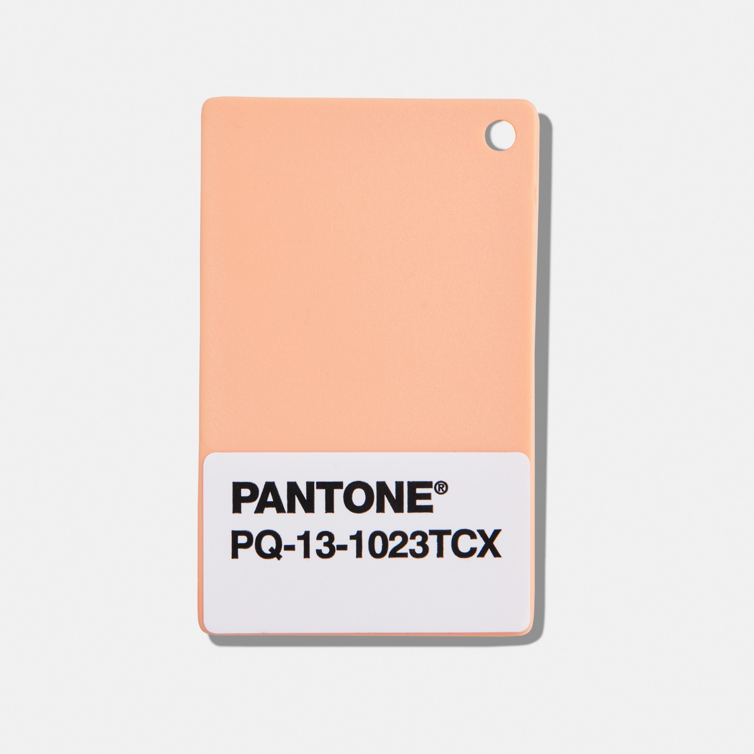 [예약] PANTONE 팬톤 플라스틱 스탠다드 칩 / PLASTIC-CHIPS  (부가세별도)[PANTONE PLASTIC STANDARD Chips]