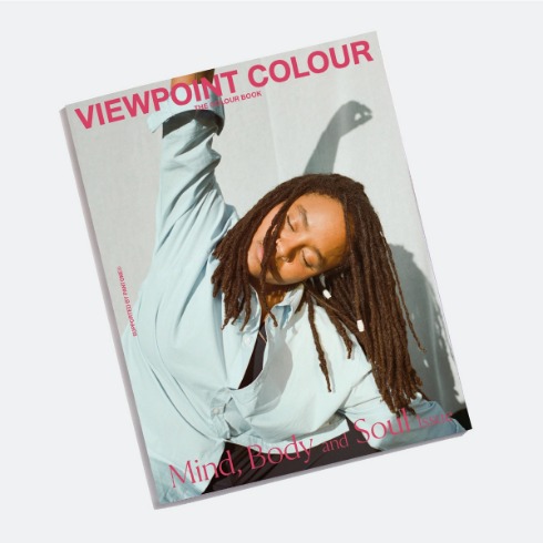 팬톤 뷰포인트 컬러 이슈 12 / VIEWPOINT-12 [PANTONE VIEWPOINT Colour Issue 12]
