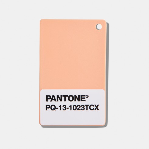 [예약] PANTONE 팬톤 플라스틱 스탠다드 칩 / PLASTIC-CHIPS  (부가세별도)[PANTONE PLASTIC STANDARD Chips]